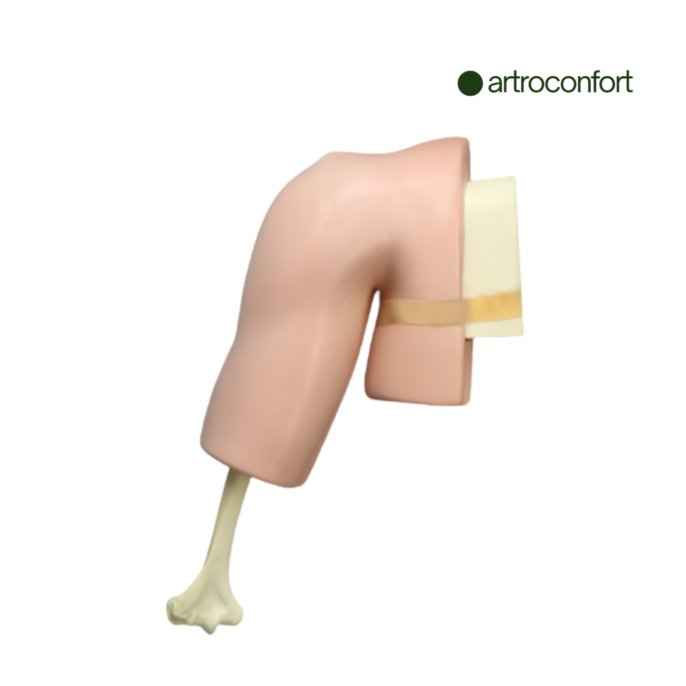 SAWBONES SIMULADOR DE HOMBRO PARA ARTROSCOPIA