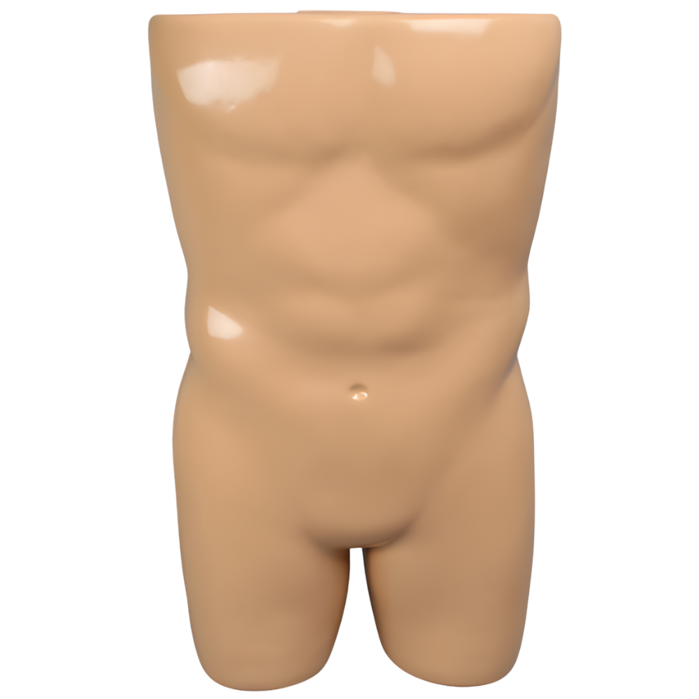 TRONCO PARA VERTEBROPLASTIA CON MODELO DE COLUMNA SAWBONES