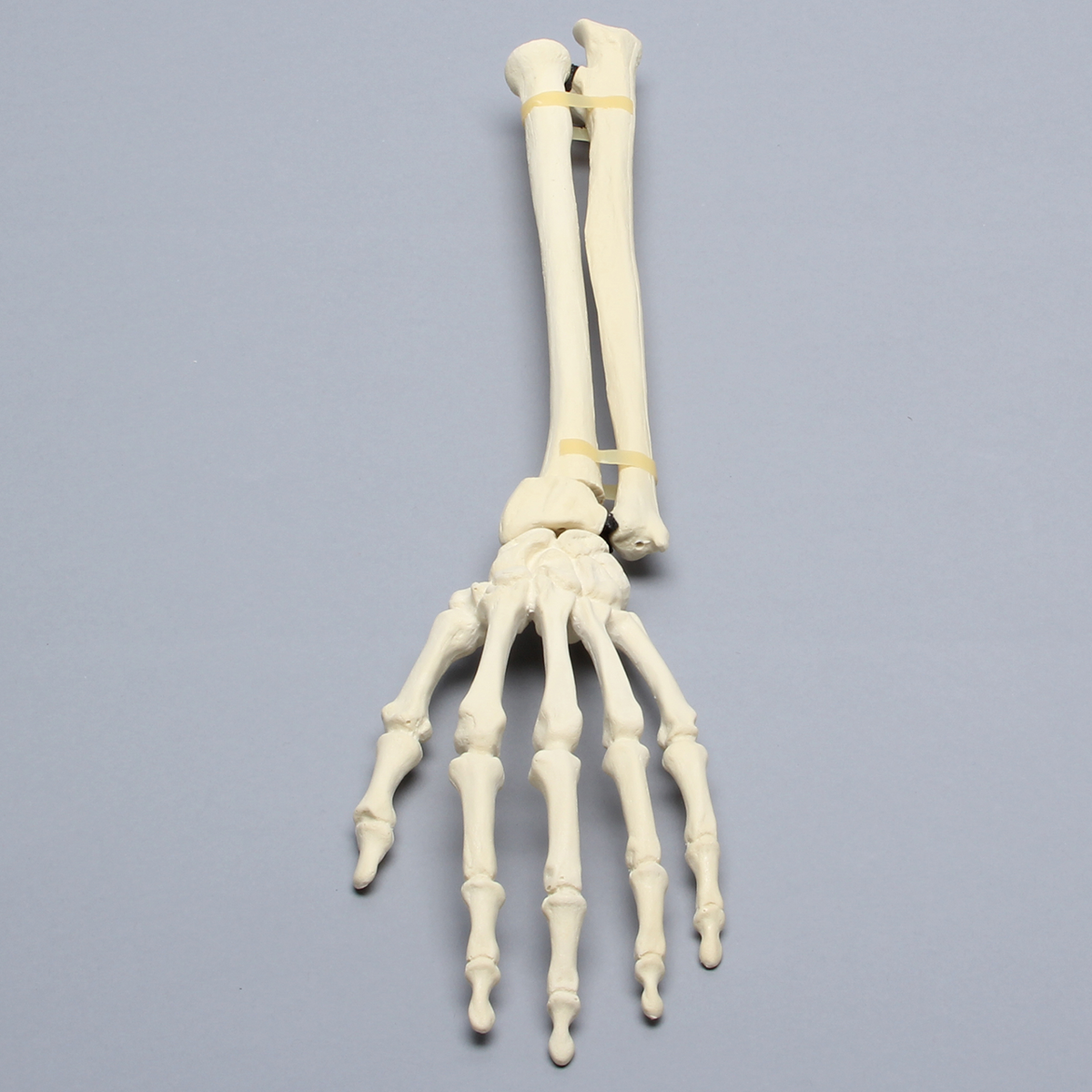 Kit Sawbones Muñeca y mano
