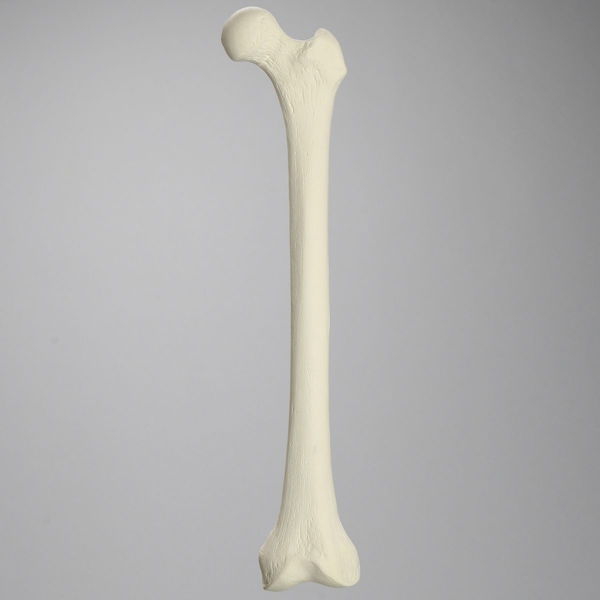 Kit Sawbones Artroplastia de cadera