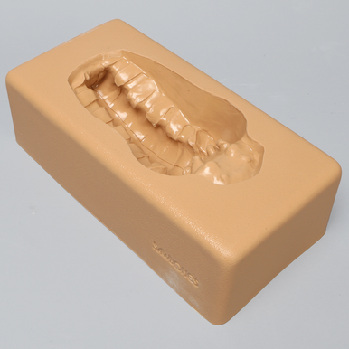 Kit Sawbones Columna lumbar para tornillos pediculares