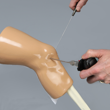 Sawbones Entrenador de rodilla para LCA