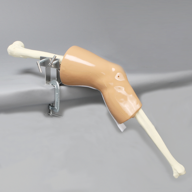 Sawbones Entrenador de rodilla para LCA