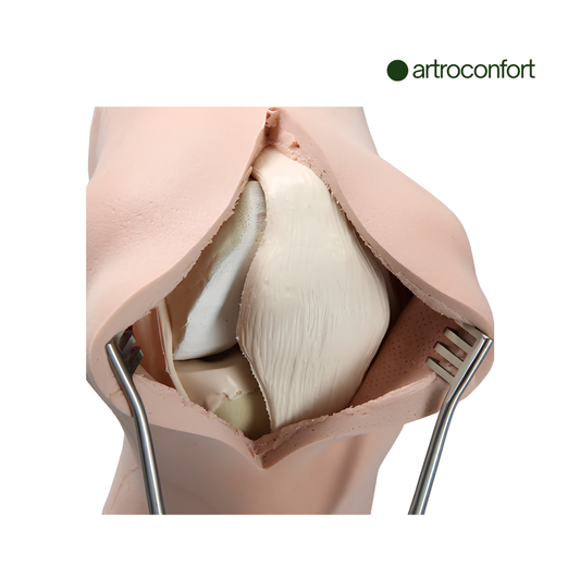 SAWBONES RODILLA ENCAPSULADA
