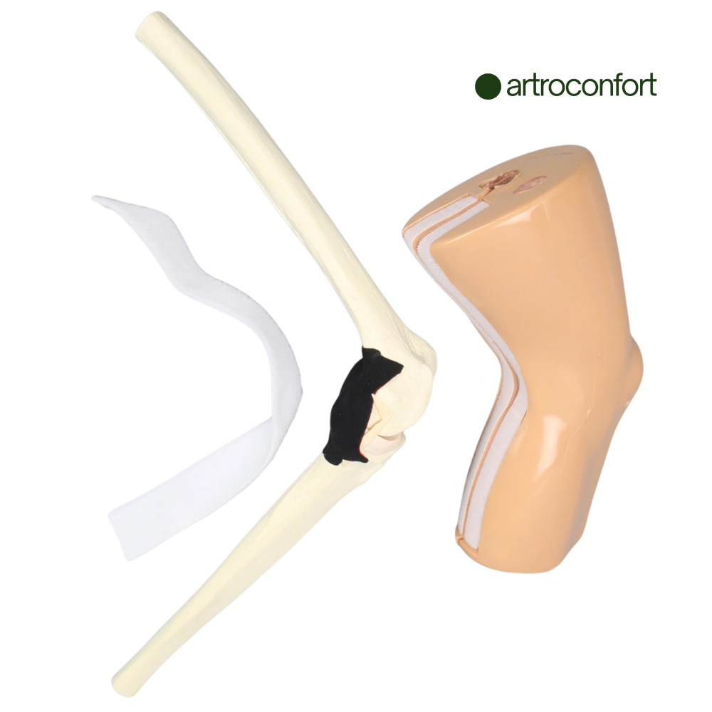 SAWBONES ENTRENADOR DE RODILLA PARA LCA GRANDE