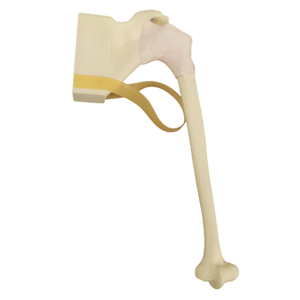 Inserto de hombro de espuma sólida para simulador de artroscopia SCR Sawbones
