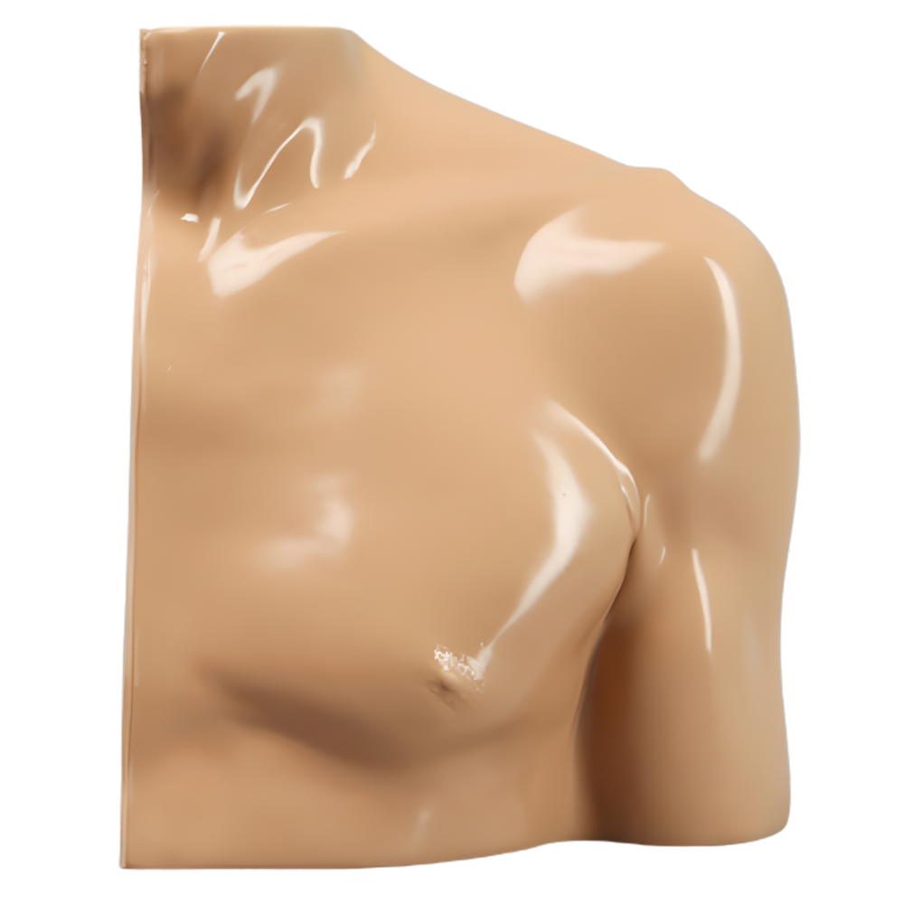 HOMBRO COMPLETAMENTE ENCAPSULADO, IZQUIERDO SAWBONES