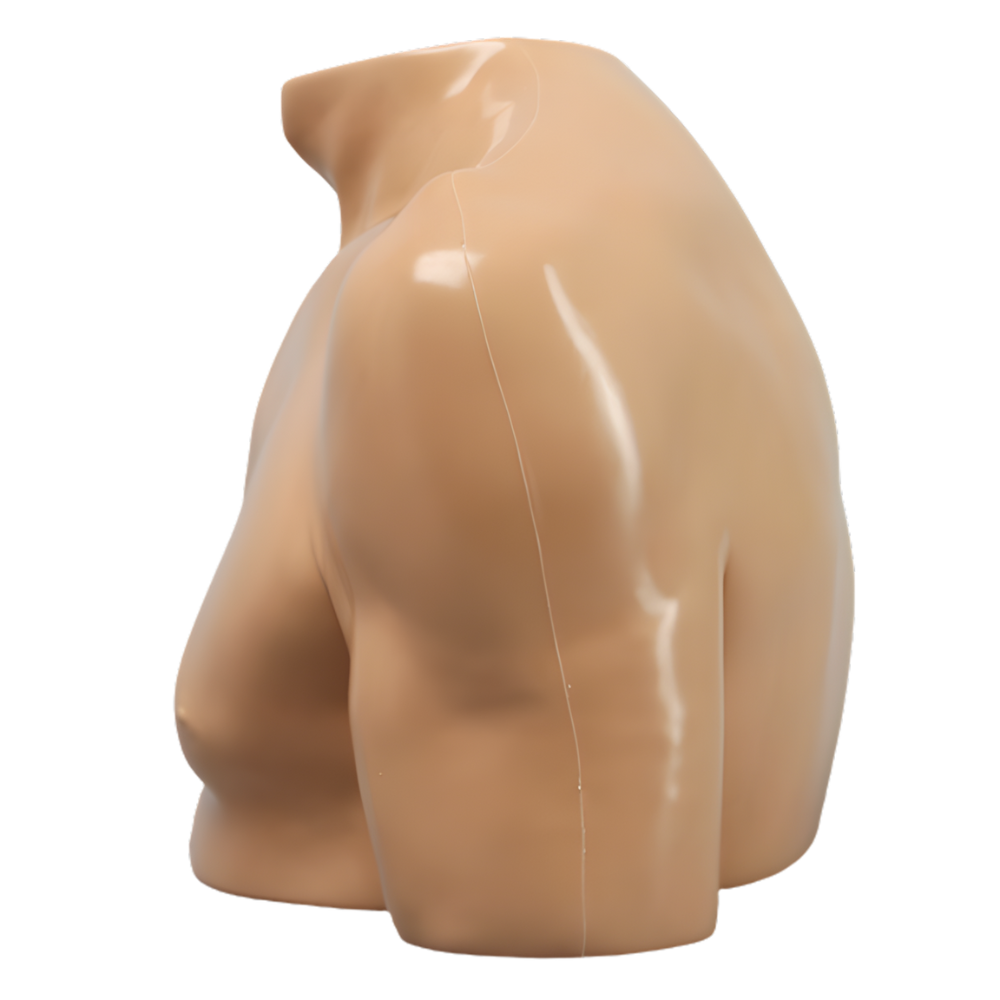 HOMBRO COMPLETAMENTE ENCAPSULADO, IZQUIERDO SAWBONES