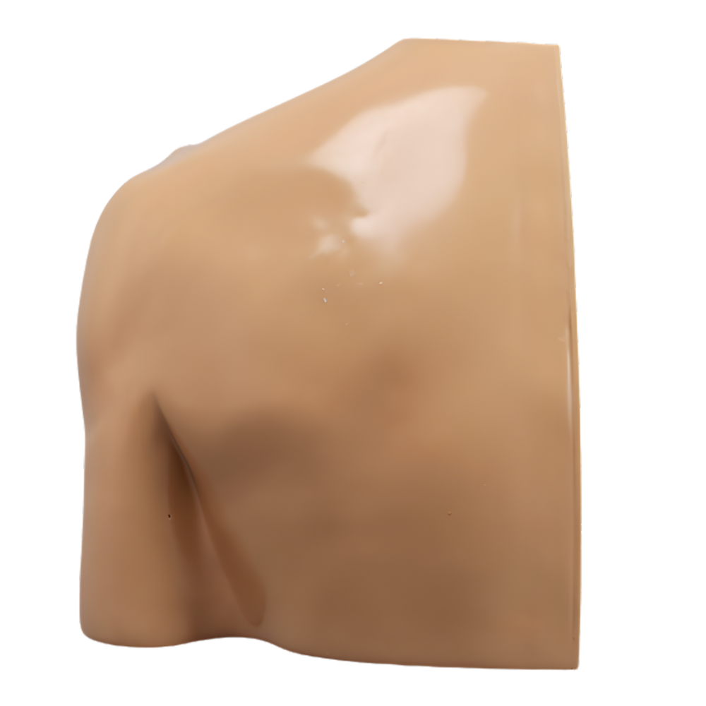 HOMBRO COMPLETAMENTE ENCAPSULADO, IZQUIERDO SAWBONES