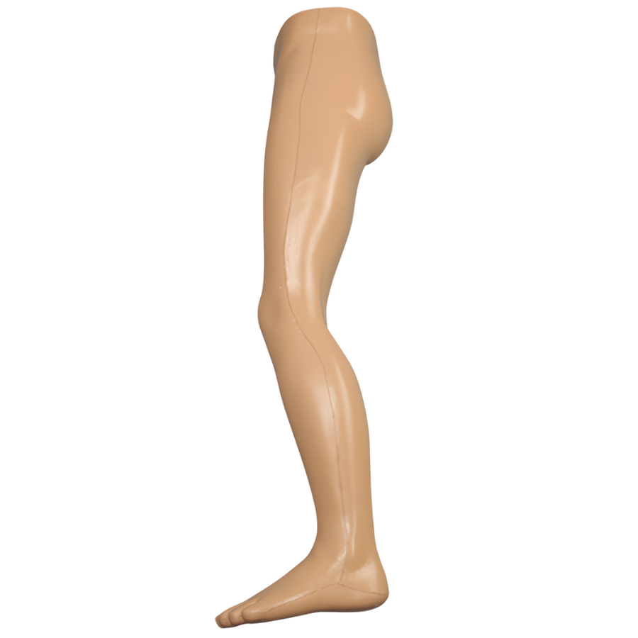 Modelo de pierna encapsulada con tejido blando y huesos radiopacos Sawbones