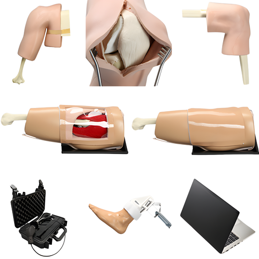 PAQUETE COMPLETO DE SIMULACIÓN DE ARTROSCOPIA SAWBONES